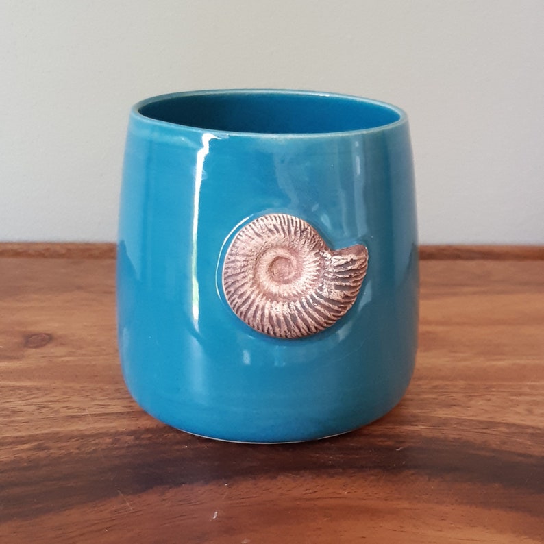 May include: A teal ceramic mug with a raised, brown ammonite fossil design.