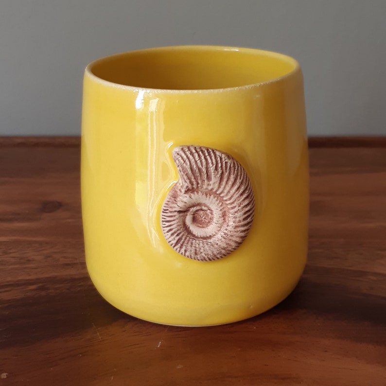May include: A yellow ceramic mug with a brown ammonite shell design.