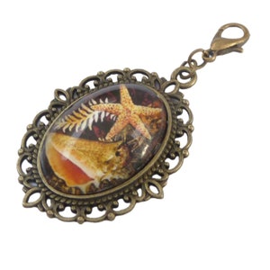 Pendentif de bijoux maritimes avec coquille et pendentif de poche étoile de mer bijoux pour chaînes ou bracelets petits cadeaux