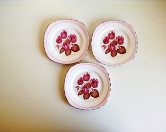 May include: Three white ceramic plates with pink trim and a floral design featuring pink flowers and brown leaves.