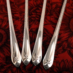 Minty Iced Tea Spoon _ EXQUISITE by Wm Rogers _ Vintage 1940 Silverplate _ Priced per Spoon