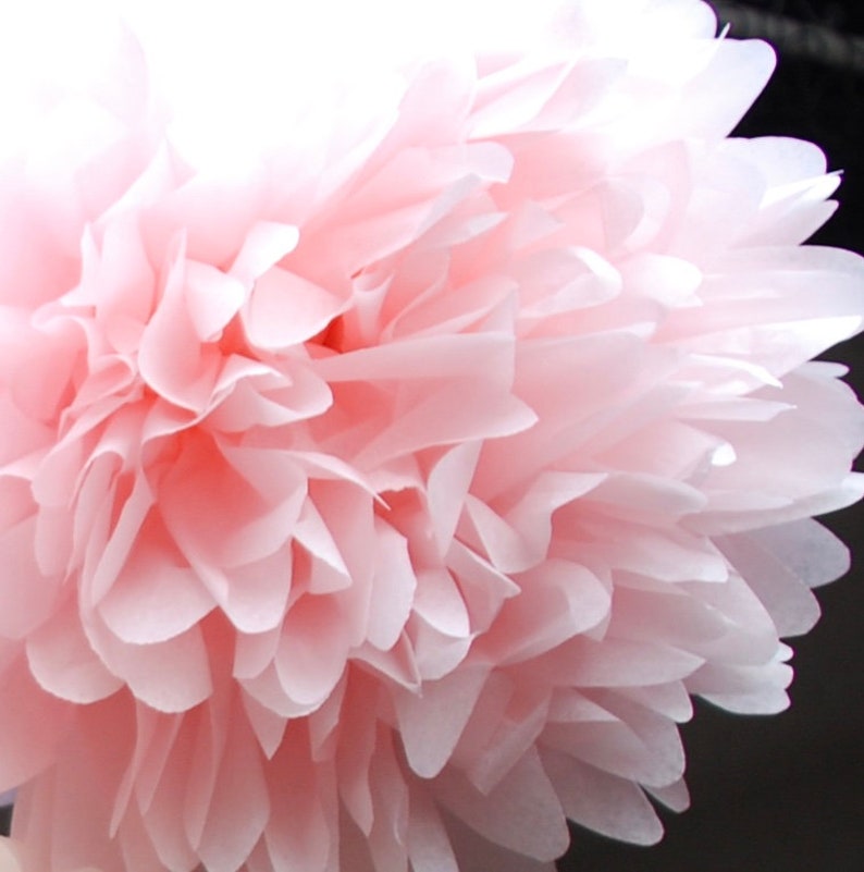 Blush Wedding Tissue Paper Pom Poms Custom Decor