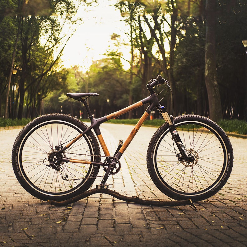 MTB Ajusco Bamboo Bicycle Frame 29er Mountain Bike Etsy