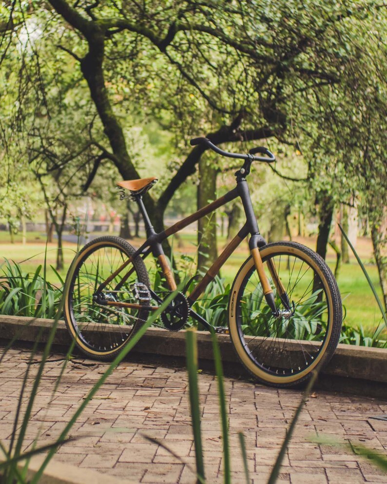 carbon fiber beach cruiser