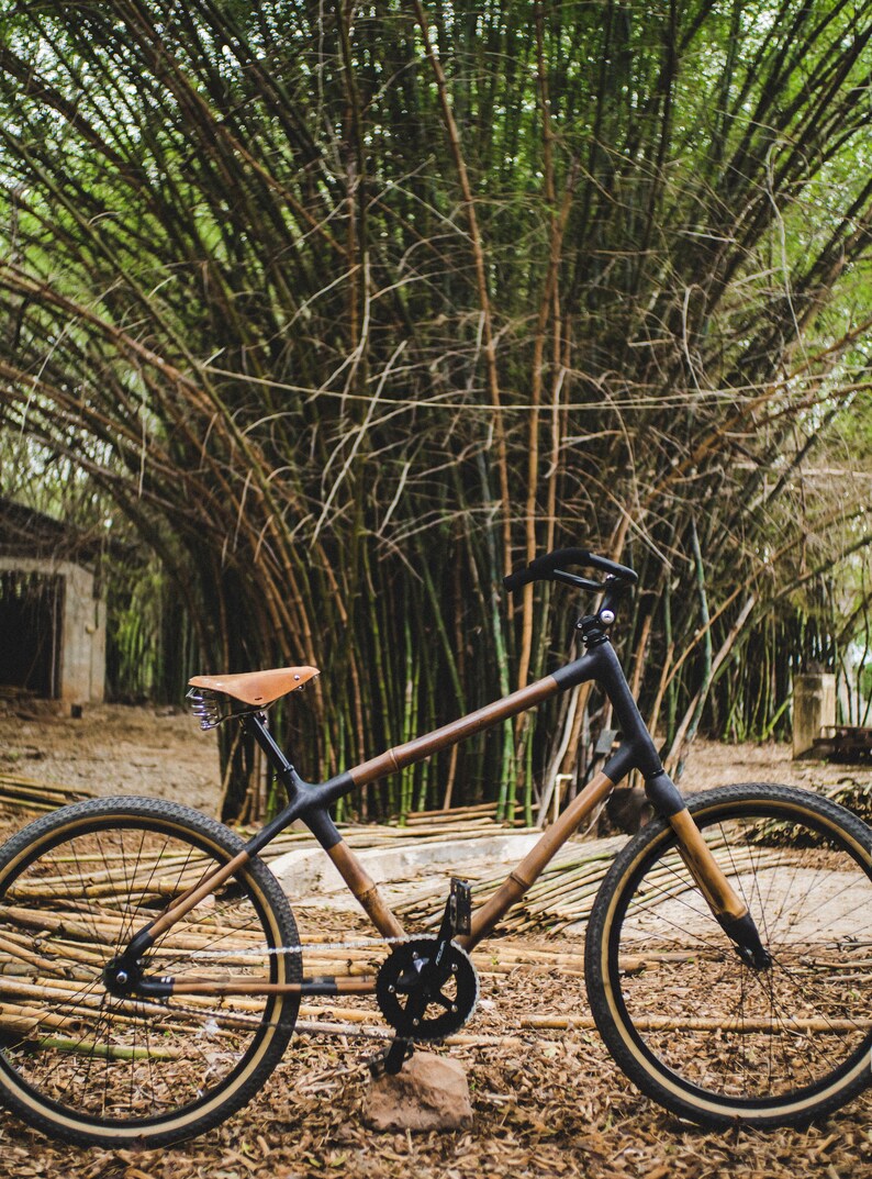 carbon fiber beach cruiser