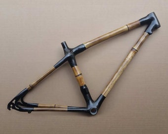 MTB Ajusco Bamboo Bicycle Frame (29er Mountain Bike)