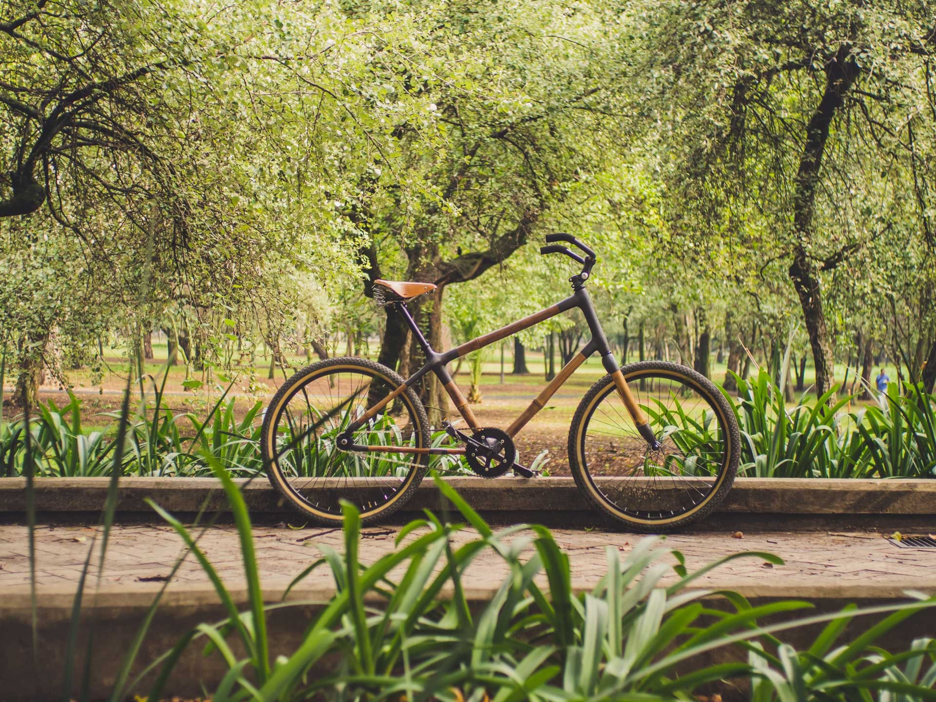 carbon fiber beach cruiser