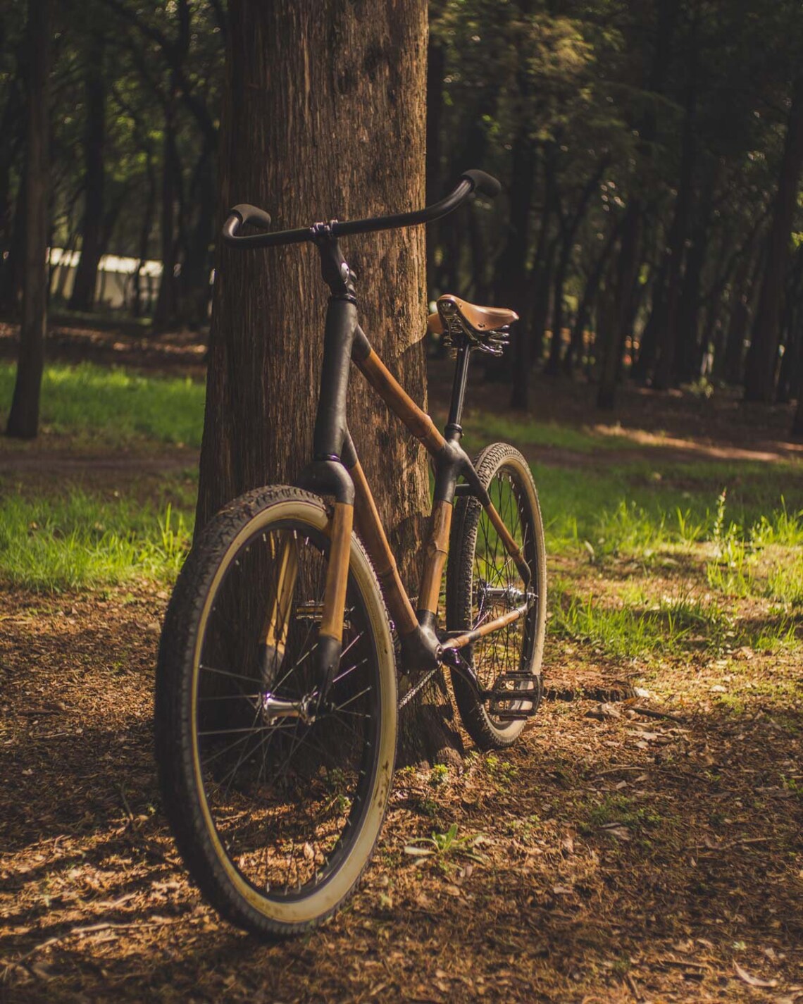 carbon fiber beach cruiser