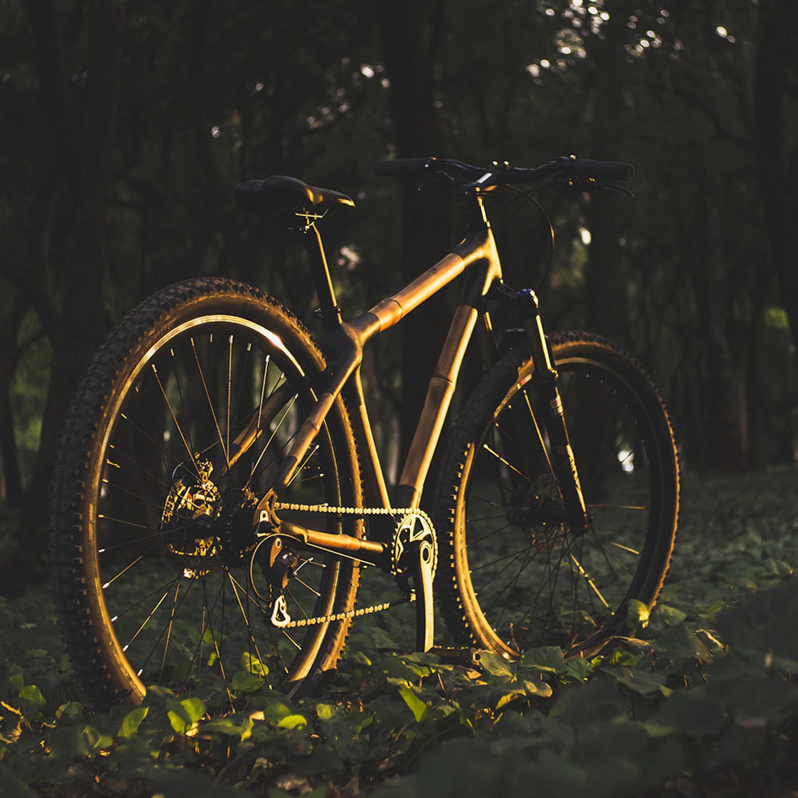 MTB Ajusco Bamboo Bicycle Frame 29er Mountain Bike Etsy