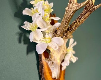 Geweih "Orchidee" - Wanddeko - Unikat mit echtem Schädel & Gehörn auf Holz - Okkult Wicca Hexerei Pagan Altar