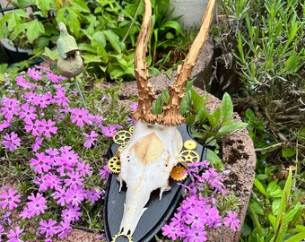 Antlers "Golden Hour" - Decoration - Unique with real skull & horns on wood with gears and mandala - Upcycling