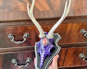 Geweih | Skull | Antler "Cameo Moon" - Wanddeko - Unikat mit echtem Schädel & Gehörn auf Holz - Trophäe Hirsch | Reh Gothic Home