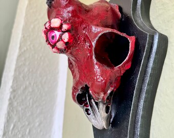 Skurriles Gehörn "Bloody Freak" - Skulptur Wanddeko | Skull | Antler - Unikat mit echtem Schädel auf Holz - Okkult Wicca Hexerei | Trophäe