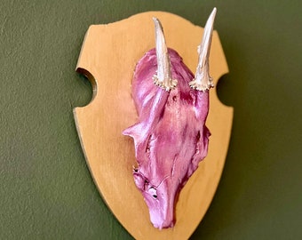 Antlers "Little Pretty in Pink" - Decoration - Unique with real skull & horns on wood - Occult Wicca Witchcraft Pagan Altar - upcycling