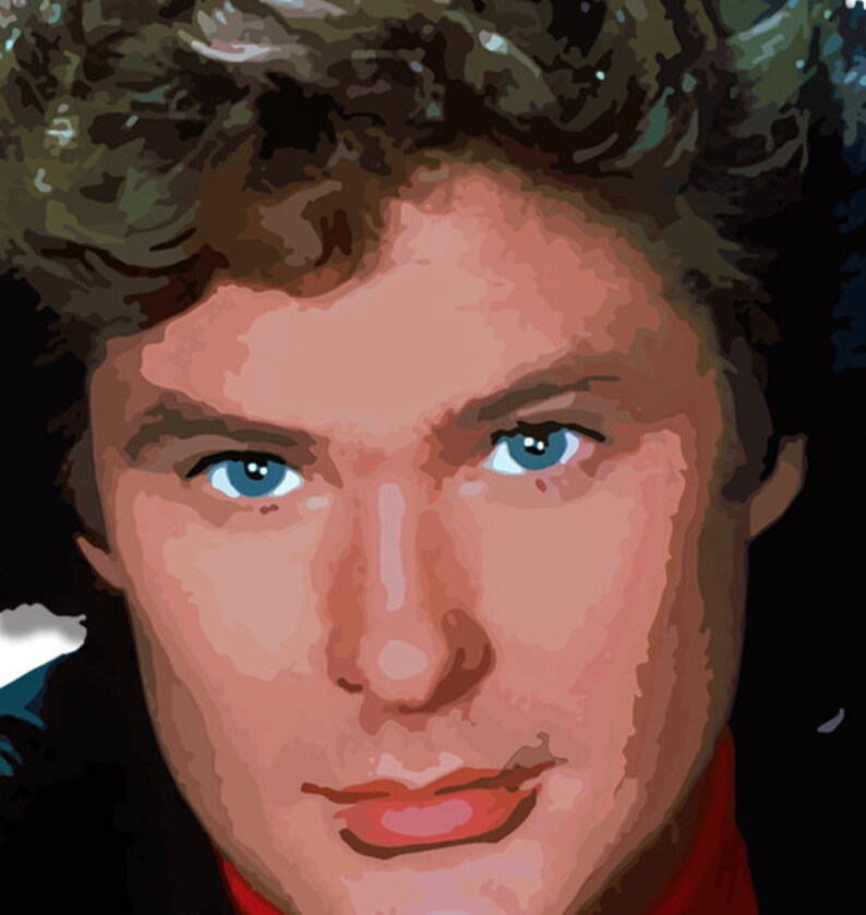 Hasselhoff Funny Birthday Card - Etsy