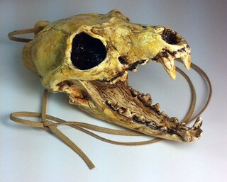 Whistle Il Richiamo Della Morte Presenta Teaser Trailer E Poster Con Dafne Keen