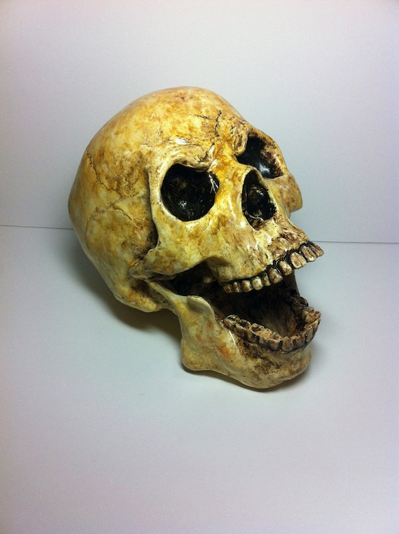 絶版入手不可デバイスワークス yabai DEATH skull MOUNCOL Aztec Death Whistle - the Human Skull - You Won't Believe