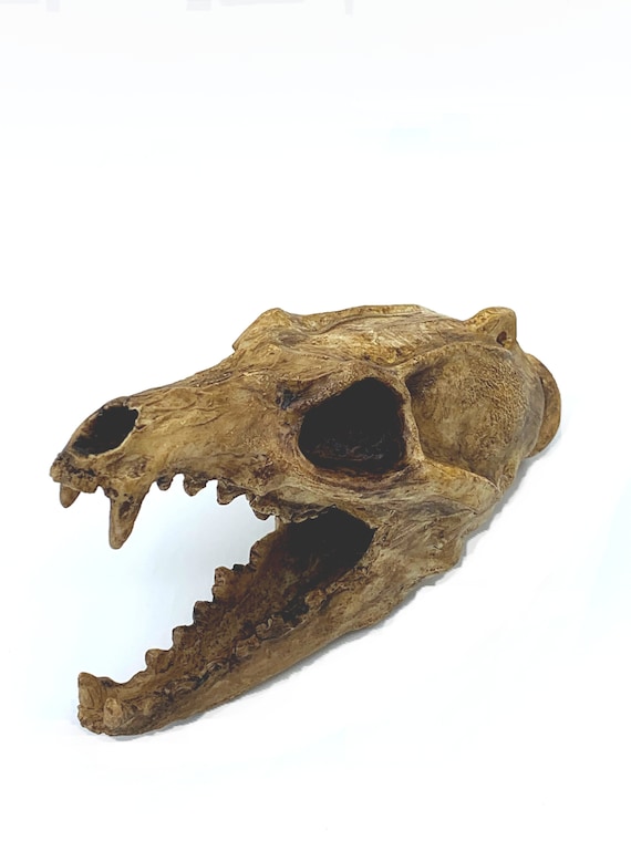 L'agghiacciante Suono Dell'Ehecachichtli, Il "fischietto Azteco - Foto 13