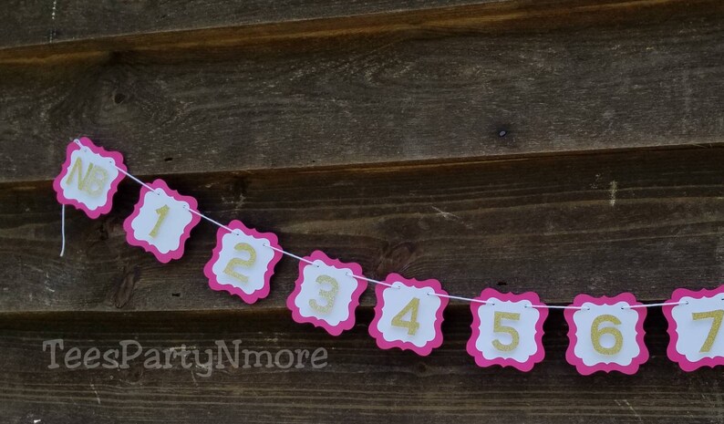 First Birthday Banner Decorations Hot Pink and Gold Glitter Monthly Photo Banner Milestone Banner Pink and Gold Party Decor Photo Prop