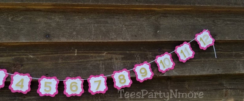 First Birthday Banner Decorations Hot Pink and Gold Glitter Monthly Photo Banner Milestone Banner Pink and Gold Party Decor Photo Prop