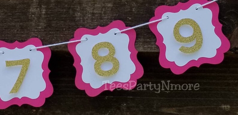 First Birthday Banner Decorations Hot Pink and Gold Glitter Monthly Photo Banner Milestone Banner Pink and Gold Party Decor Photo Prop