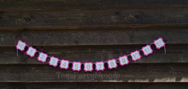 First Birthday Banner Decorations Hot Pink and Gold Glitter Monthly Photo Banner Milestone Banner Pink and Gold Party Decor Photo Prop