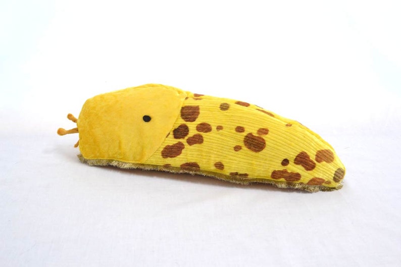 Banana slug plushie Banana slug soft toy cuddly toy slug | Etsy