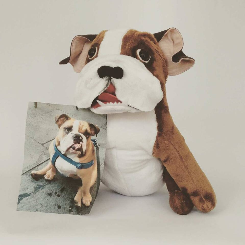 custom stuffed animals of your pet australia
