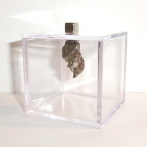 Meteorite Campo del Cielo | Authentic 9.1 gram Crystal with Display Cube