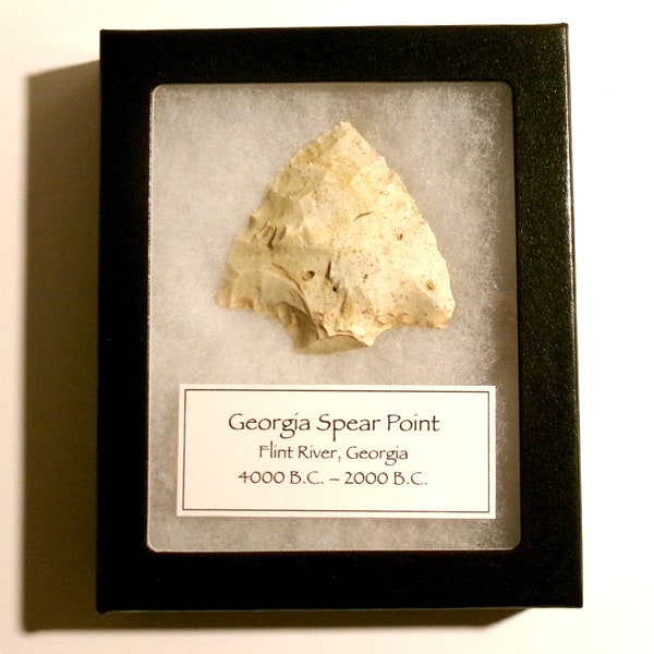 Georgia Spear Point - Neolithic Era 4000 B.C. – 2000 B.C. | Ancient American Relic in Riker Case | Free USA Shipping