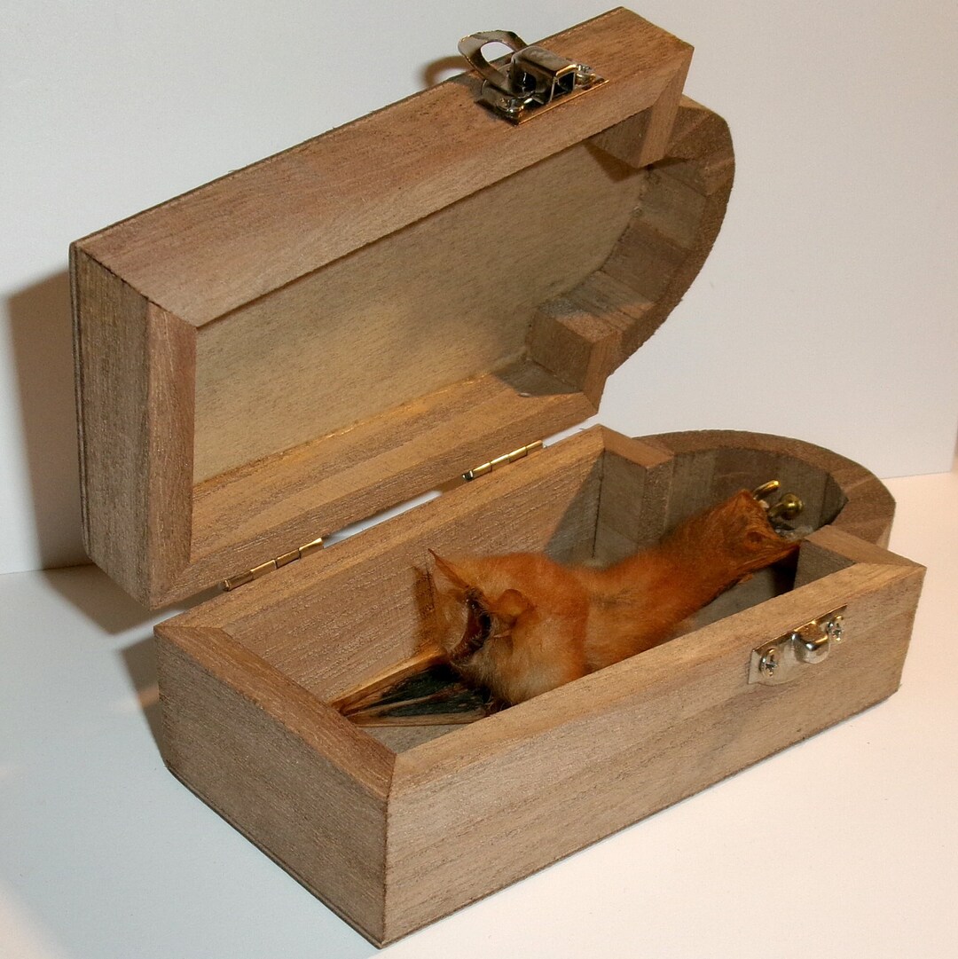 Real Hanging Bat in Salem Coffin Gothic Decor and Quiet Pet Taxidermy