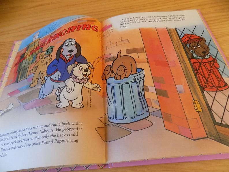Pound Puppies Love-able Hug-gable Snowball the Wonder Dog Children's ...