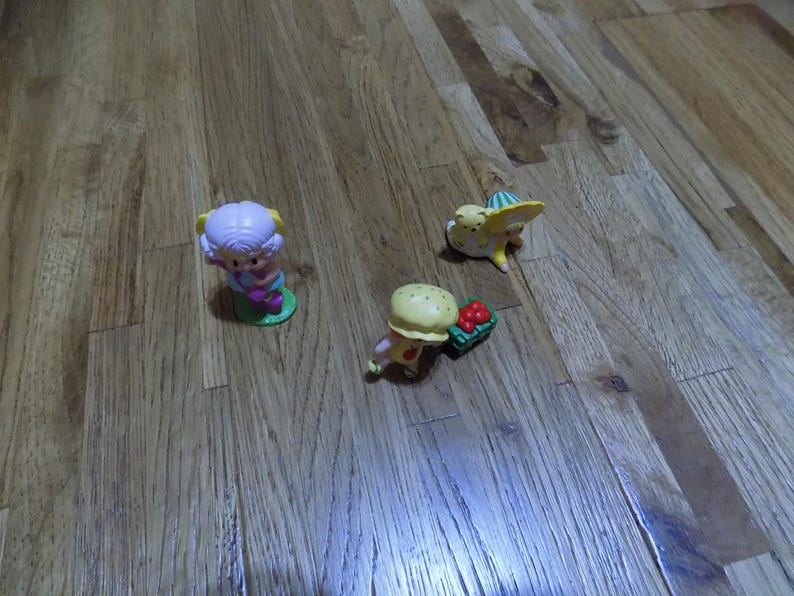 Apple Dumplin Butter Cookie Angel Cake Strawberry Shortcake Mini