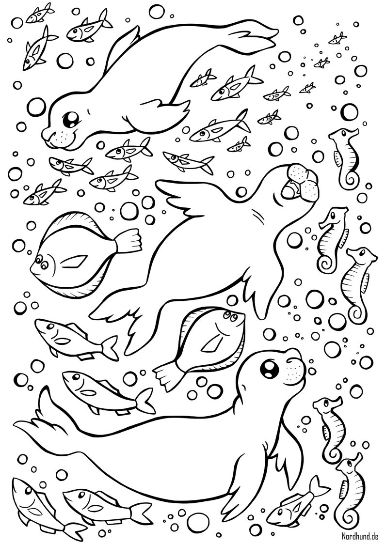 ausmalbilder nordsee