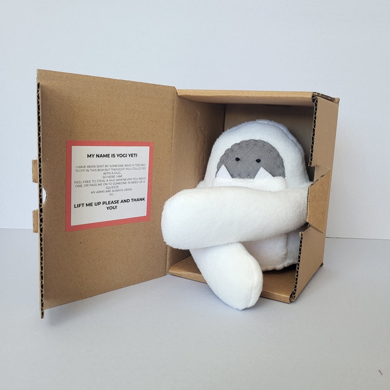 HUG IN A BOX Gift for a far away friend Yeti image 8