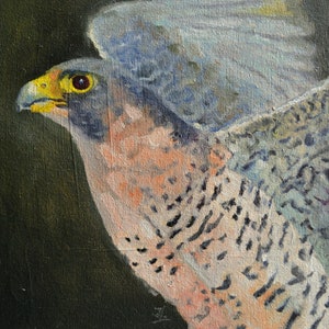 Small Oil Painting. Bird painting. Bird art. Wall art. Bird artwork. Gift for her. Home decor. Miniature artwork