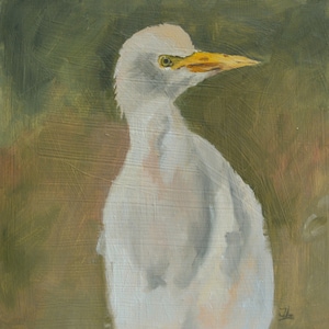 Small Oil Painting. Bird painting. Bird art. Wall art. Bird artwork. Gift for her. Home decor. Miniature artwork