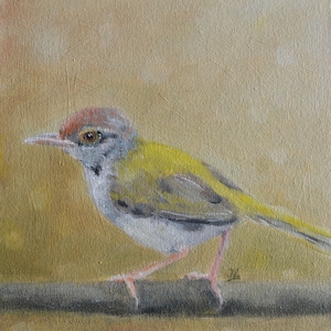 Small Oil Painting. Bird painting. Bird art. Wall art. Bird artwork. Gift for her. Home decor. Miniature artwork