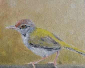 Small Oil Painting. Bird painting. Bird art. Wall art. Bird artwork. Gift for her. Home decor. Miniature artwork