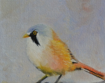 Small Oil Painting. Bird painting. Bird art. Wall art. Bird artwork. Gift for her. Home decor. Miniature artwork