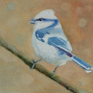 Small Oil Painting. Bird painting. Bird art. Wall art. Bird artwork. Gift for her. Home decor. Miniature artwork