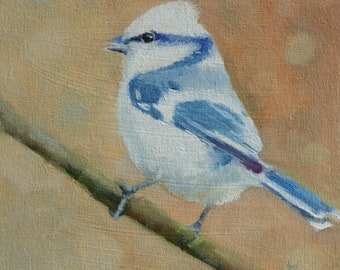 Small Oil Painting. Bird painting. Bird art. Wall art. Bird artwork. Gift for her. Home decor. Miniature artwork