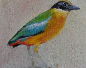 Small Oil Painting. Bird painting. Bird art. Wall art. Bird artwork. Gift for her. Home decor. Miniature artwork