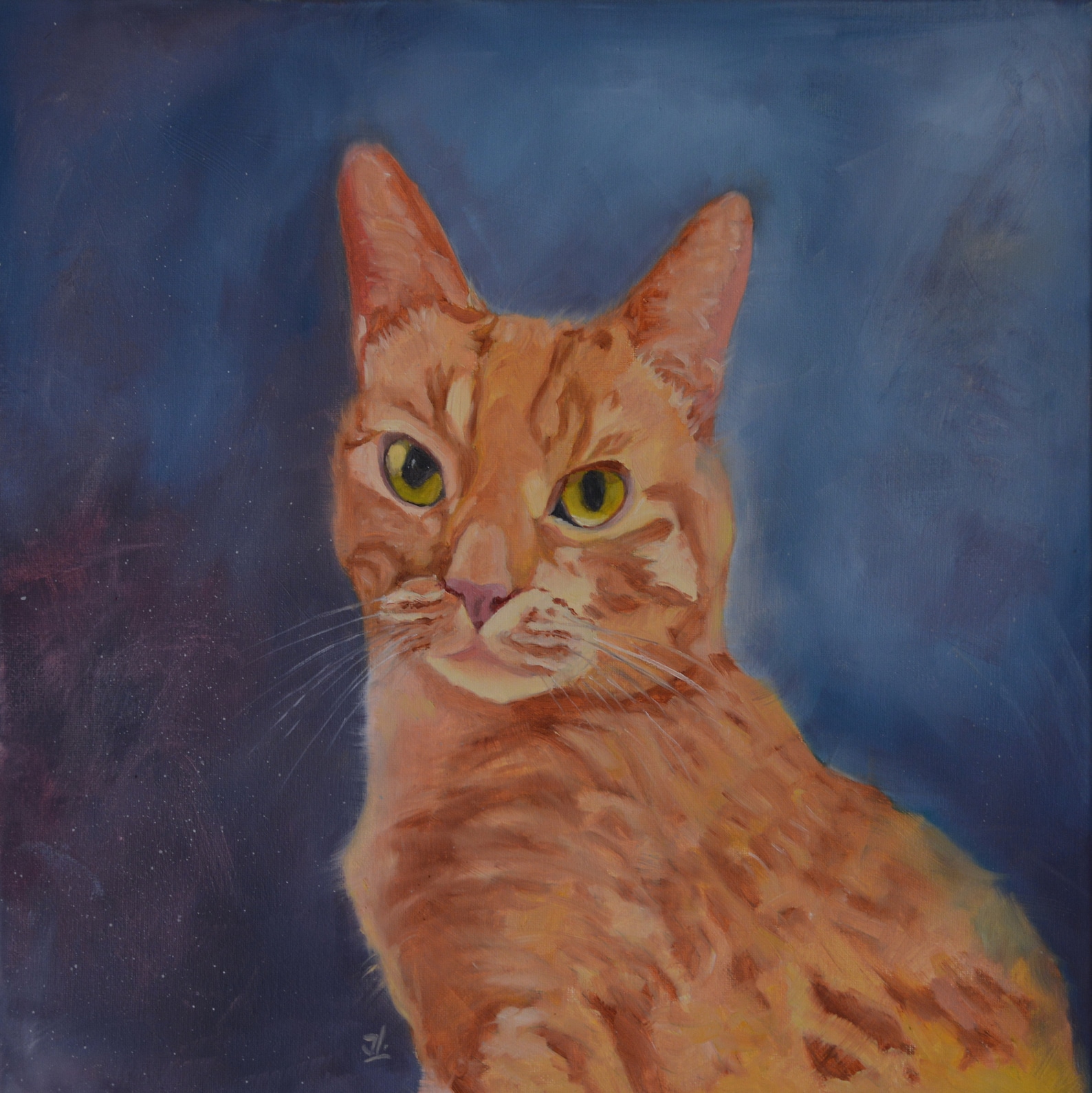Cat Oil Painting Cat Artwork Oil Painting Original Animal - Etsy
