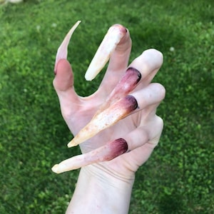 Monster Claws | Plastic Cosplay Nails | Halloween Vampire Costume