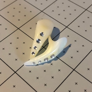 May include: A pair of white, shell-shaped hair clips with clear rhinestones.