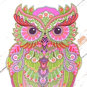 May include: A colorful owl illustration with intricate floral and leaf patterns. The owl features shades of pink, green, and orange, with detailed feather designs. The artwork is set against a white, wood-grain background.
