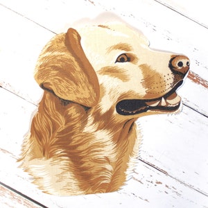 Op de afbeelding: Een close-up van de kop van een golden retriever, tegen een witte achtergrond. De hond heeft een vriendelijke uitdrukking en zijn vacht is gedetailleerd met licht- en donkerbruine tinten.