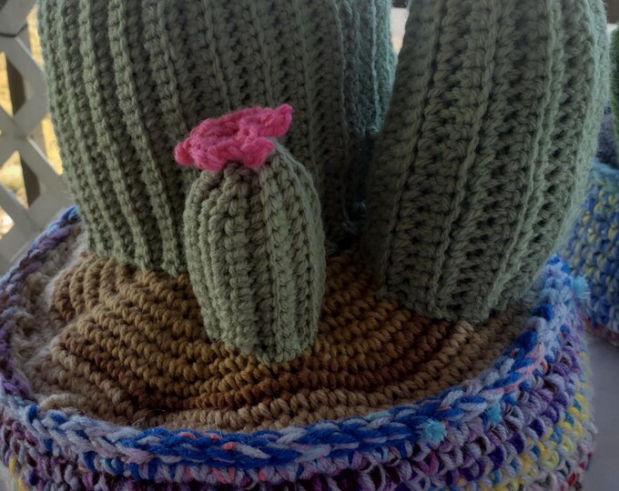 Crocheted Cacti in Crocheted Basket