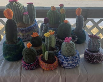 Medium Crocheted Cactus in Crocheted Basket